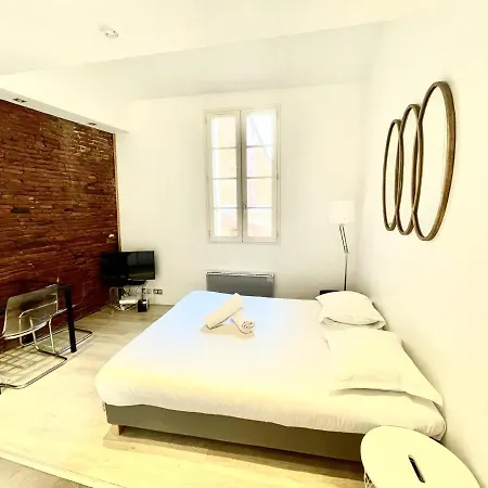 Le Daurade - Studio Toulousain Hypercentre Apartment Toulouse