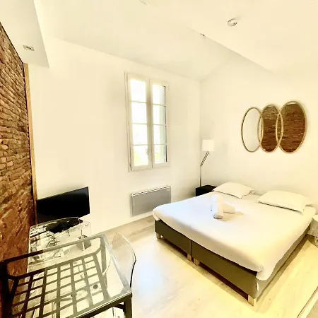 Le Daurade - Studio Toulousain Hypercentre *